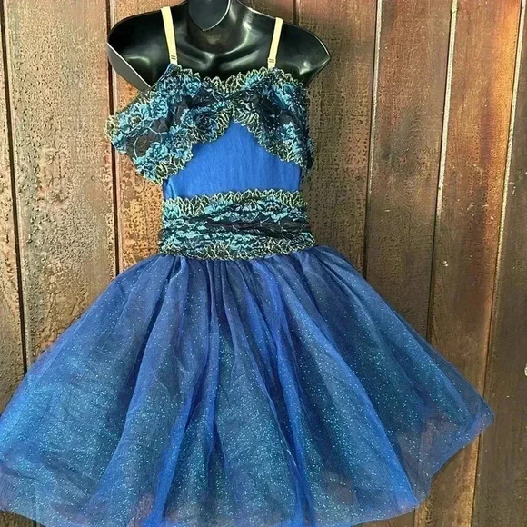 Sapphire Blue Lace & Sparkle Tulle Ballet Ballerina Tutu Dance Costume Dress - Picture 8 of 10